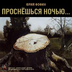Проснешься ночью - Юрий Фофин - <a href=