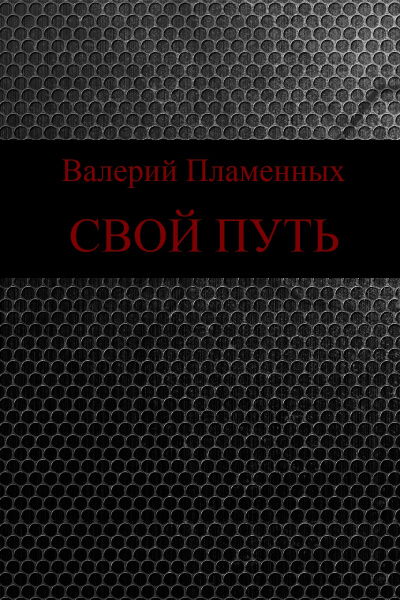 Свой Путь - Валерий Пламенных - <a href=