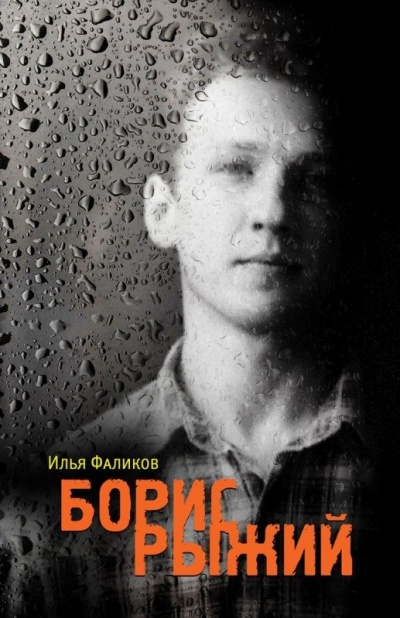 Борис Рыжий. Дивий Камень - Илья Фаликов - <a href=