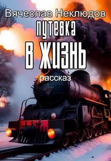 Путевка в жизнь - Вячеслав Неклюдов - <a href=