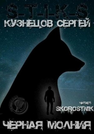 Чёрная Молния - Сергей Кузнецов - <a href=