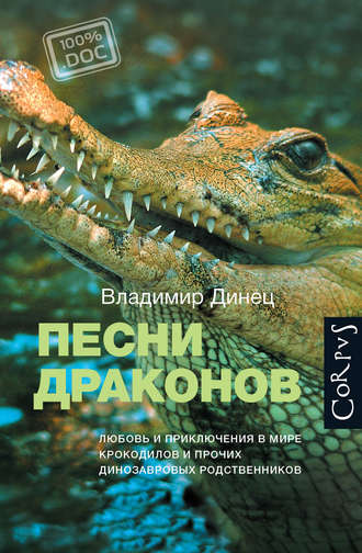Песни драконов - Владимир Динец - <a href=
