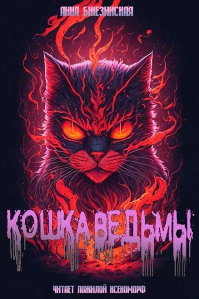 Кошка Ведьмы - Анна Бжезинская - <a href=