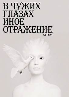 В чужих глазах иное отражение - Станислав Романов - <a href=