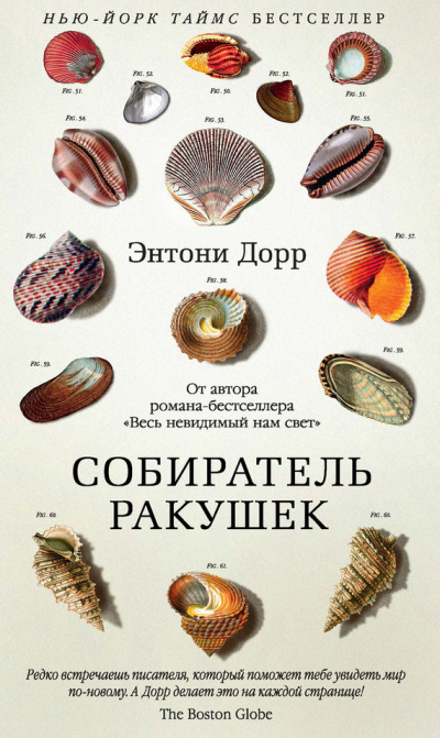 Собиратель ракушек - Энтони Дорр - <a href=