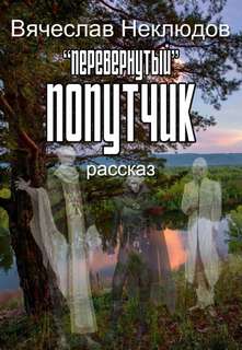 Перевернутый попутчик - Вячеслав Неклюдов - <a href=