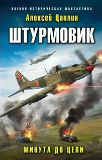 Штурмовик. Минута до цели - Алексей Цаплин (2) - <a href=