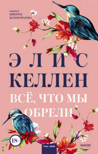 Всё, что мы обрели - Элис Келлен - <a href=