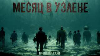 Месяц в Уэлене - Юрий Погуляй - <a href=