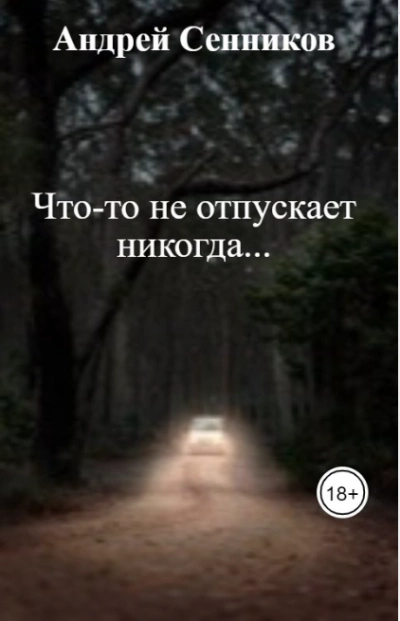Что-то не отпускает никогда - Андрей Сенников - <a href=
