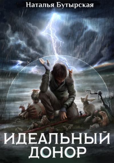 Академия. Книга 2, Герой - Наталья Бутырская - <a href=