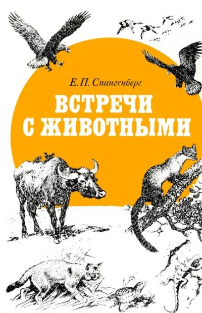 Встречи с животными - Евгений Спангенберг - <a href=