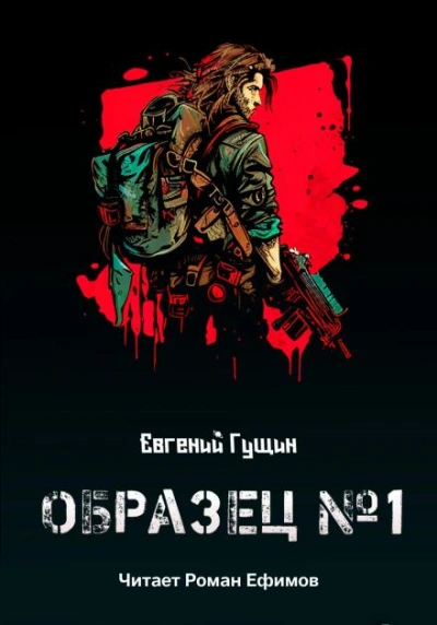 Образец №1 - Евгений Гущин - <a href=