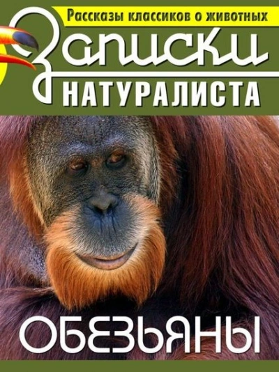 Рассказы классиков о животных. Обезьяны - <a href=