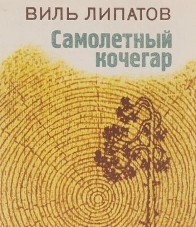 Самолётный кочегар - Виль Липатов - <a href=