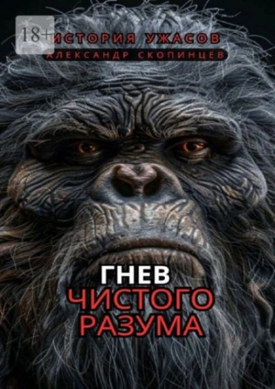 Гнев чистого разума - Александр Скопинцев - <a href=