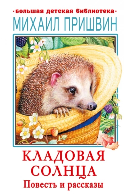 Кладовая Солнца - Михаил Пришвин