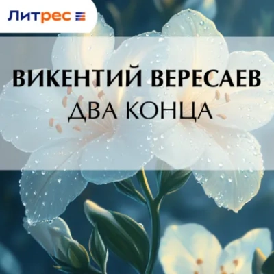 Два конца - Викентий Вересаев - <a href=