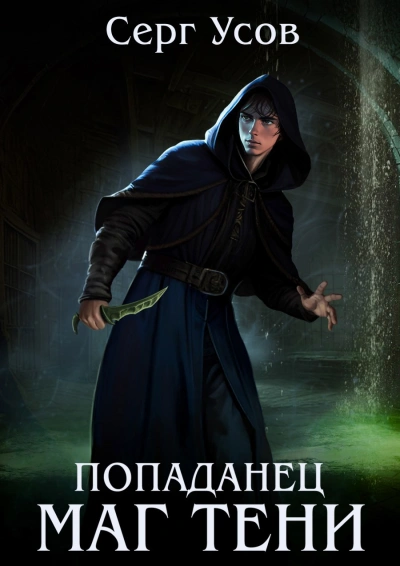 Маг Тени. Книга 11 - Серг Усов
