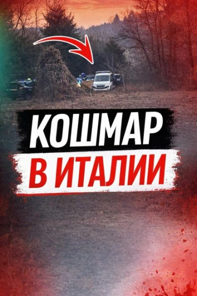 Чемодан среди леса - <a href=
